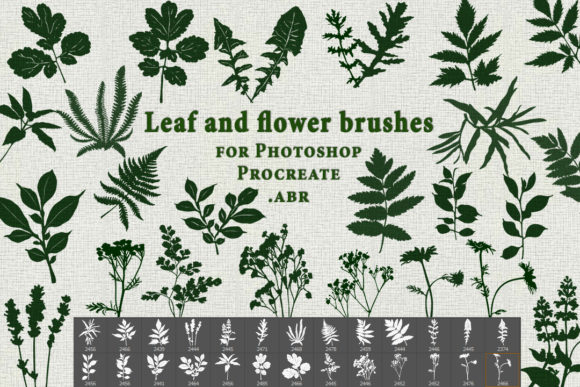 Elevating Digital Art with Brushes Leaves and Flowers .ABR