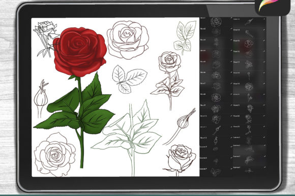 Roses Brushes for Procreate: Digital Stamp Set